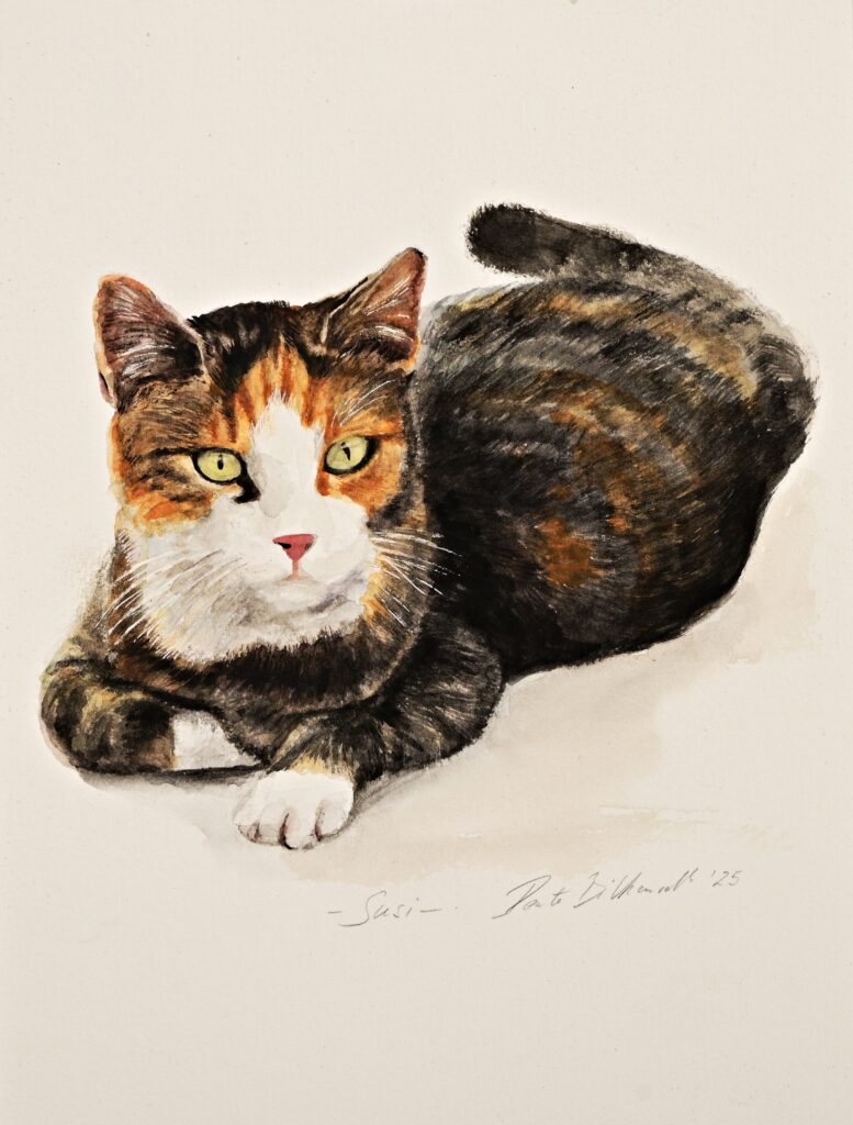 Susi